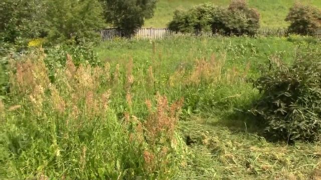 Бензиновый триммер SunGarden смотреть онлайн