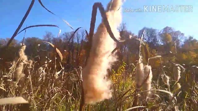 На дворе уже октябрь, но ох как хочется вернуться в лето! Беково. Хопер. смотреть онлайн