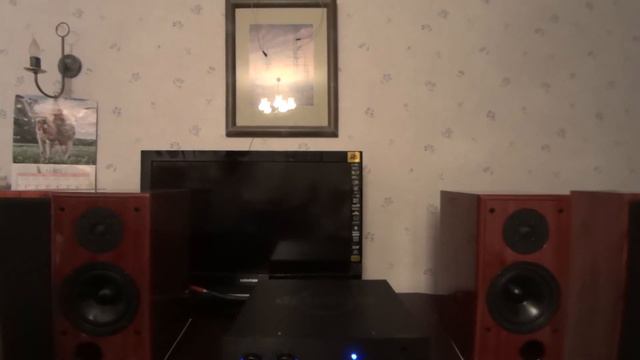 REDGUM RGS Manna, REDGUM Black Series RGi35ENR видео 1