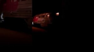 Жд вокзал Новый Афон. Поезд 480С Санкт-Петербург-Сухум. Прибывает поезд 487й Самара-Сухум.