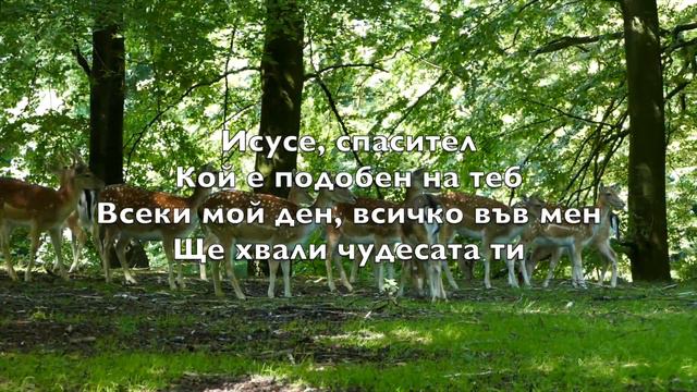 Исусе, Спасител (Shout To The Lord) - Караоке Сопрано саксофон Инструментал Hillsong V3 BuP смотреть онлайн