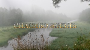 СПАСИБО ЖИЗНЬ!