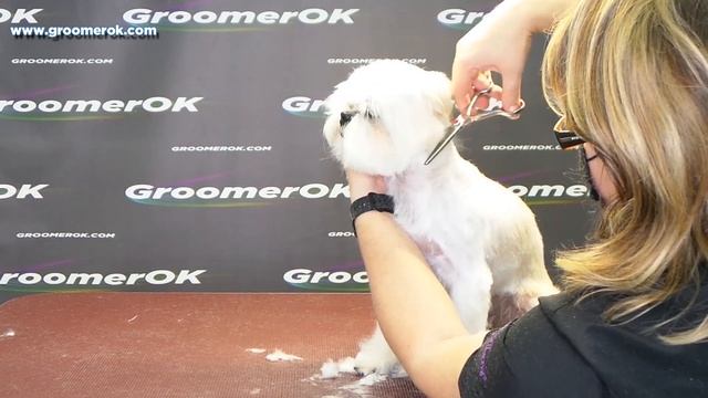 How to cut a shih tzu's hair? - Basic Tutorial смотреть онлайн