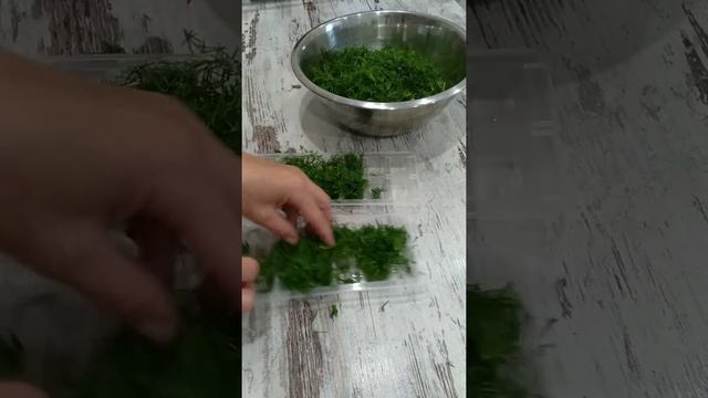 Как заморозить зелень на зиму. Укроп, петрушка, замороженные кубиками. #Shorts смотреть онлайн