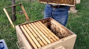 ПАСЕКА.ПЧЕЛОВОДСТВО. Двухкорпусное содержание, ставим второй корпус.