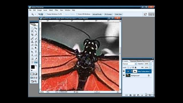 Фотошоп видеоуроки - Выделение объекта цветом смотреть онлайн