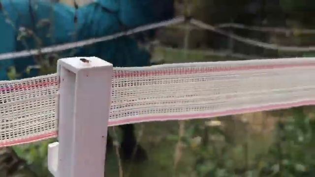 Отзыв о Электропастухе AGRI 500 для лошадей ленты для электропастуха смотреть онлайн