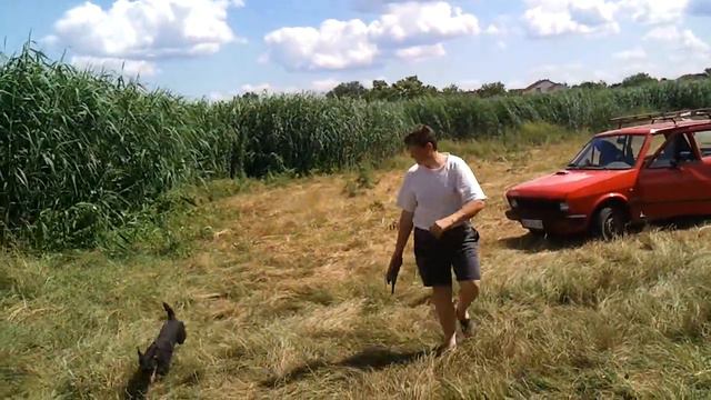 zeya i tutsy aport iz vode(ruski psi).divx смотреть онлайн