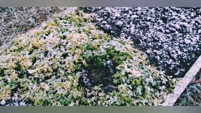 Абинск смотреть онлайн