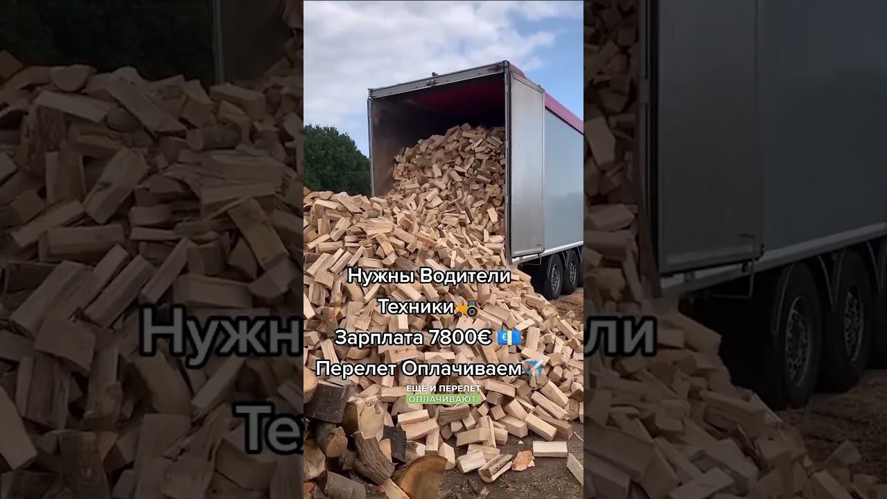 Такая работа за границей - это правда? #виза #иммиграция смотреть онлайн