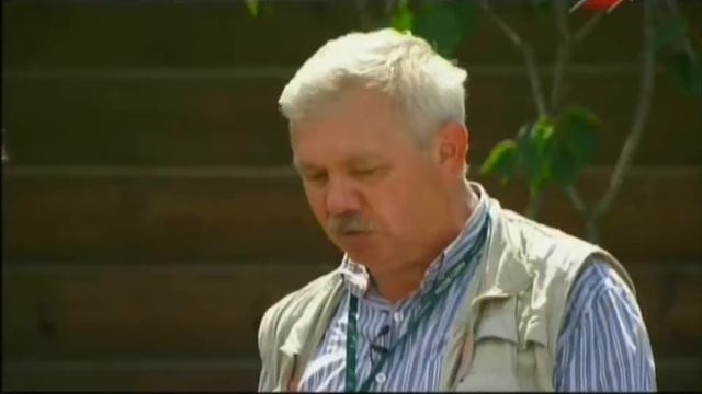 Устройство и укладка газона рулонного газона смотреть онлайн