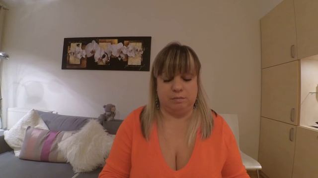 №3 Как вывезти кота в Польшу из Украины? смотреть онлайн