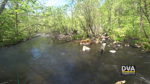 Рыбалка на горной реке хариус и ленок 2020 смотреть онлайн