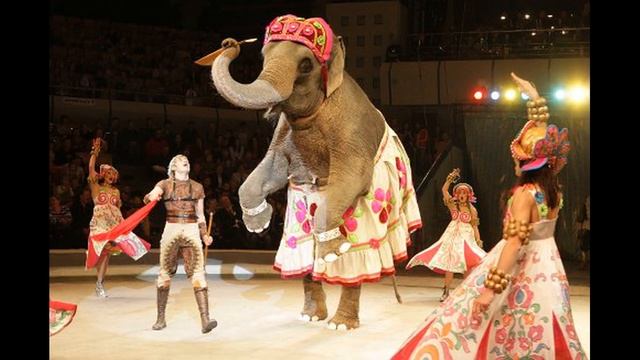 ЦИРК -- ЭТО ПРАЗДНИК ДЛЯ ДУШИ. ВСЕМИРНЫЙ ДЕНЬ ЦИРКА. смотреть онлайн