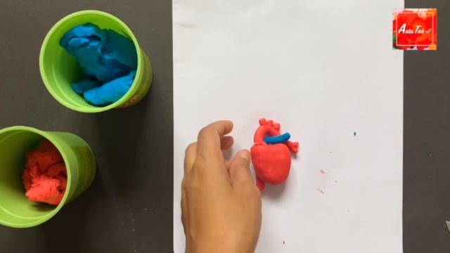 Human Heart Model || Heart Model 3D || School Science Projects || How to make a clay model Heart смотреть онлайн