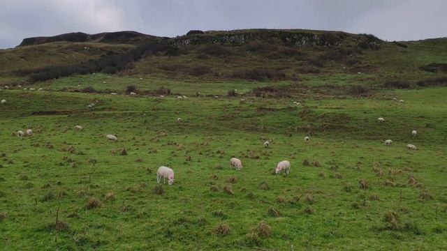 Trip To Northern Ireland. 23 December 2019 | Северная Ирландия