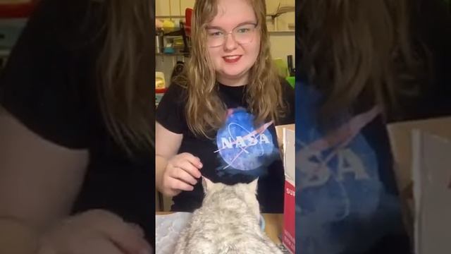 Покажи натуральное питание для кошек SUPERPET — видео-распаковка и отзыв от Дарьи и кошки Мяфы смотреть онлайн