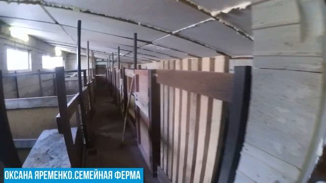 Закончила перегородку из газоблока/Скоро будет новый птичник смотреть онлайн