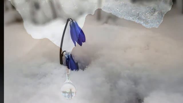 Весна почти пришла смотреть онлайн