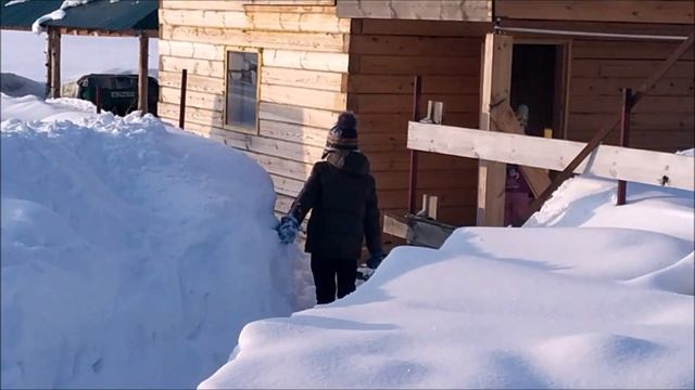 Русская баня! Или как мы закаляем детей. смотреть онлайн