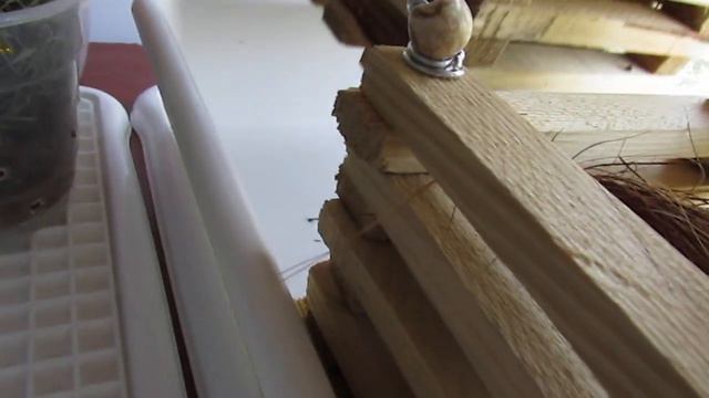 Посадка в кору , прошла удачно смотреть онлайн