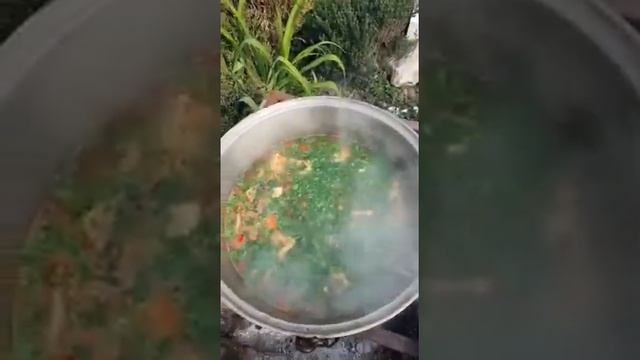 Внимание супер шашлык из осетра смотреть онлайн