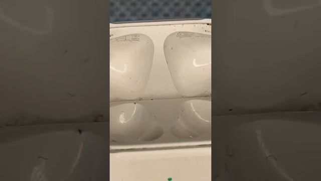 Шлифовка AirPods ✅??? смотреть онлайн