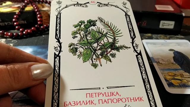 Петрушка, Базилик, Папоротник - 46 аркан Таро Теней смотреть онлайн