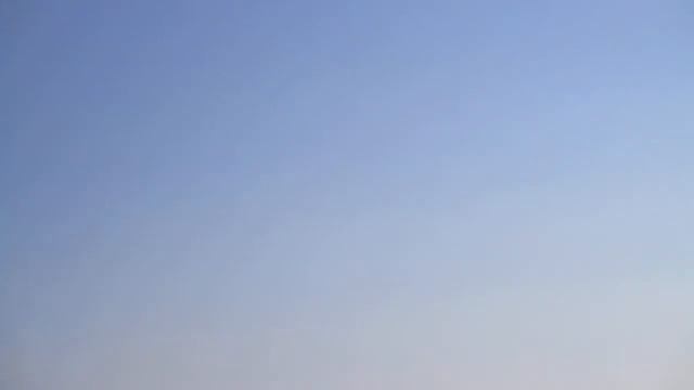 Дельфинья охота смотреть онлайн