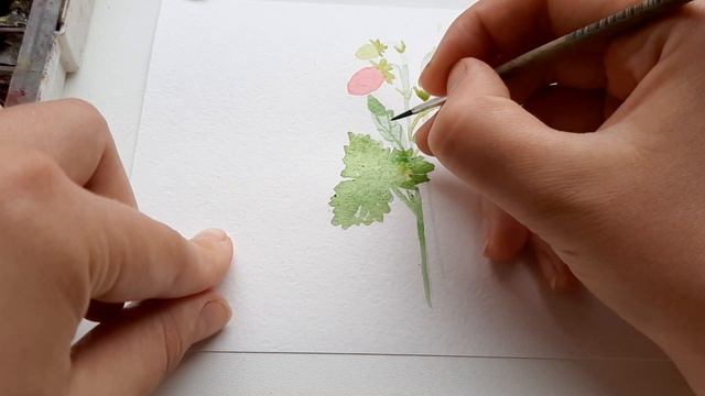 Уроки рисования для начинающих. Как нарисовать ЗЕМЛЯНИКУ АКВАРЕЛЬЮ смотреть онлайн
