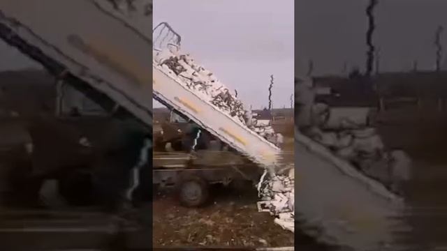 3 куба березы смотреть онлайн