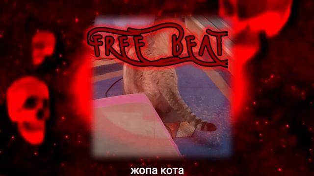 БЕСПЛАТНЫЙ ФОНК БИТ В МЕОМ СТИЛЕ! FREE BEAT PHONK! РВИТЕ ЖПУ СВОИМ БАСОМ! смотреть онлайн