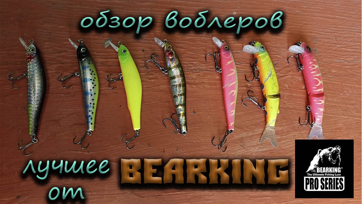 Топ 3 воблеров от Bearking.Обзор приманок.Лучшие воблеры с Алиэкспресс