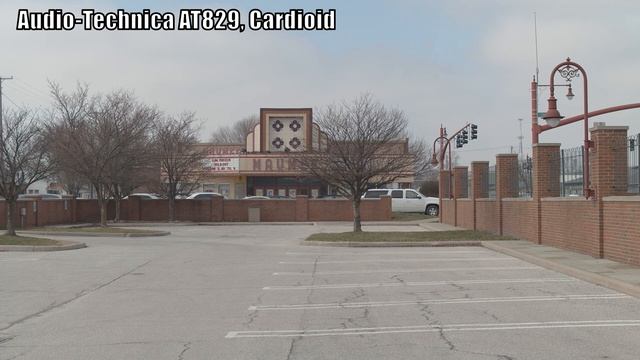 Cardioid Vs. Omnidirectional Lav Mics