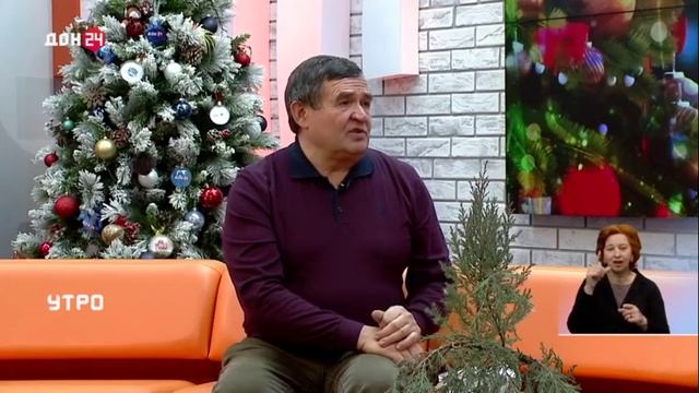 Утро на Дон24 от 14.12.2023 Как правильно выбрать новогоднюю елку смотреть онлайн