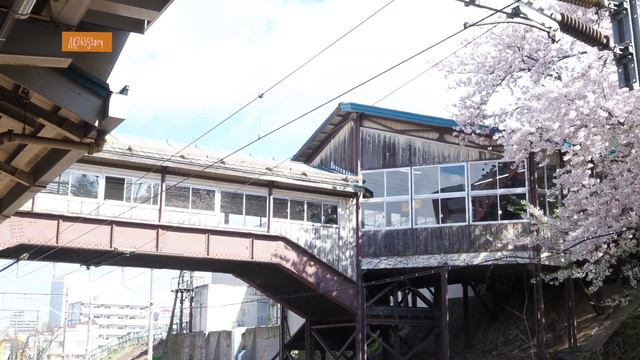 AK365Story #98 HOKKAIDO TRIP DAY#6 : SAKURA OTARU Suitengu Shrine смотреть онлайн