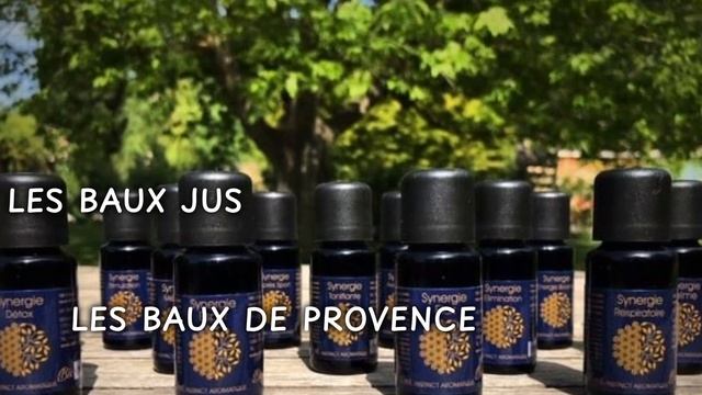 Top 10 Restaurants to Visit in Maillane, Bouches-du-Rhone | Provence-Alpes-Cote d'Azur - English смотреть онлайн