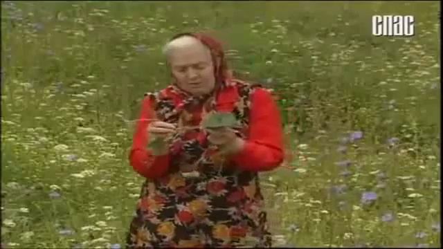 Травяной Чай Успокаивающий смотреть онлайн
