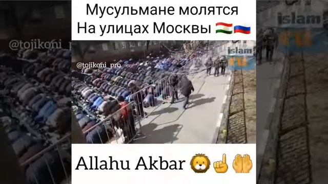 мусульмане молятся на улицах Москвы смотреть онлайн