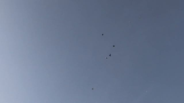 Головатый голубь от Алексея из Ростова порадовал! смотреть онлайн
