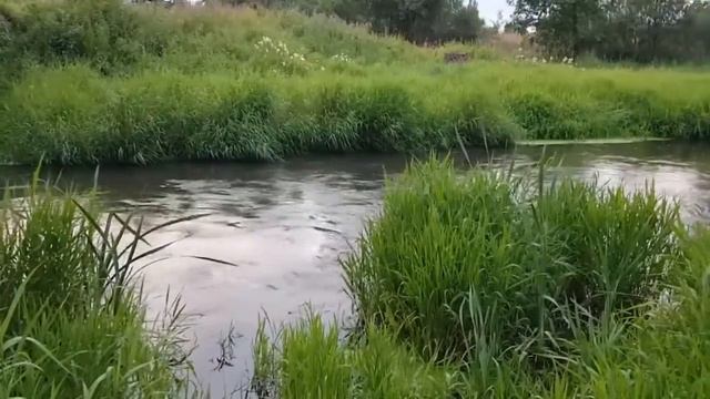 ПРОСИТЬ У РЕКИ БОГАТУЮ ДОЛЮ ДЛЯ ВСЕХ ВЕДЬМИНА ИЗБА ИНГА ХОСРОЕВА смотреть онлайн