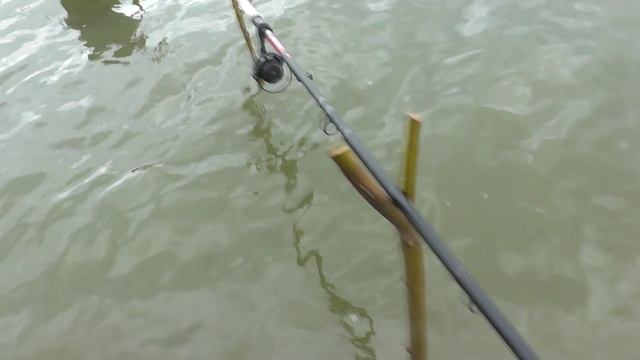 рыбалка в воде смотреть онлайн
