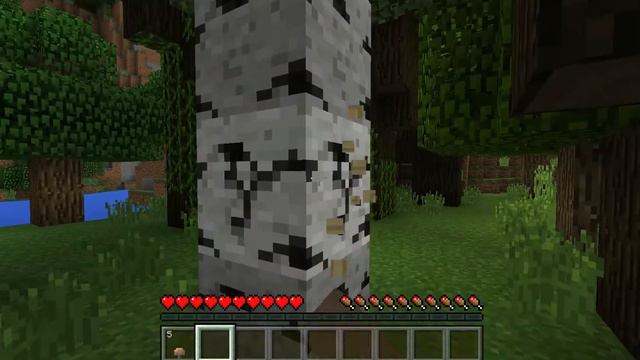 Prova Minecraft Windows 10 Edition Beta GameDVR (Qualità Alta) смотреть онлайн