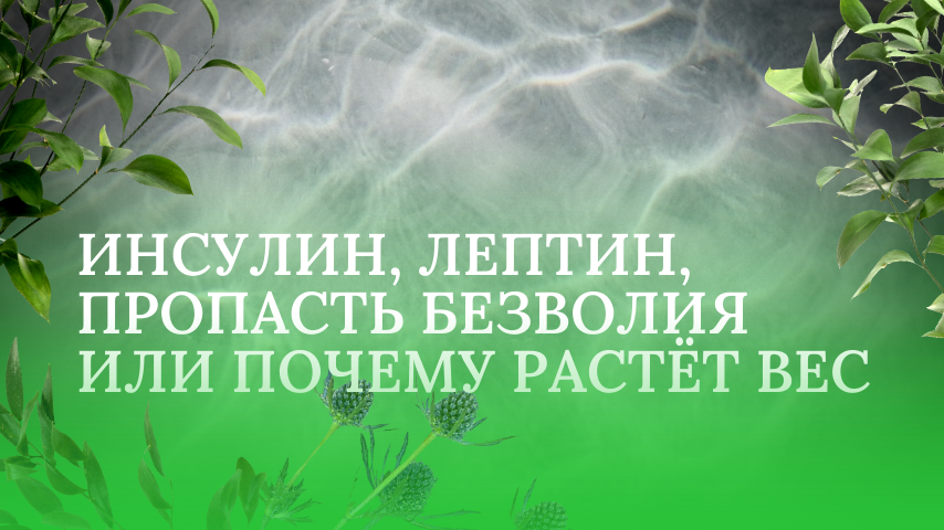 Инсулин, лептин, пропасть безволия или почему растёт вес
