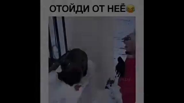 Подборка смешных видео! ОРУ😂😂 смотреть онлайн