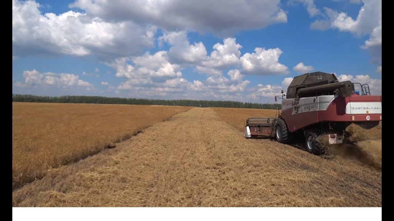 УБОРКА 2023 СЕРИЯ-2 КАМАЗ НАГРЕЛСЯ И ВЫБРОСИЛО ВОДУ смотреть онлайн