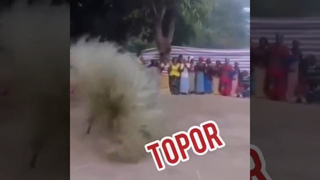 Это не взбесившийся стог сена, как вы подумали. Это зонгбето. Танец такой. Ритуальный. Там, под вор смотреть онлайн