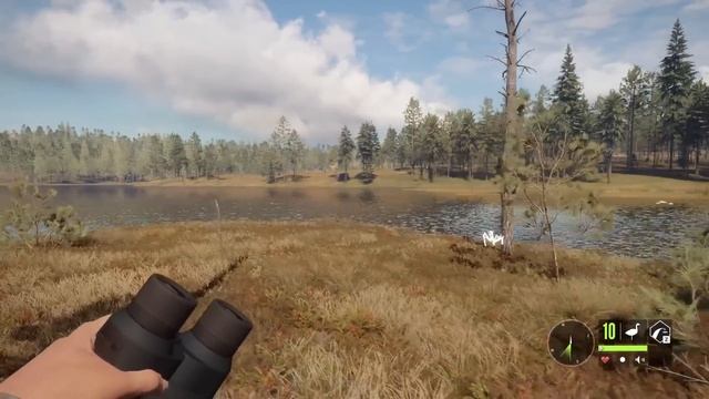 Our First Diamond Goldeneye on Revontuli Coast! | theHunter Call of the Wild смотреть онлайн