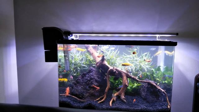 Excel - My Aquarium смотреть онлайн