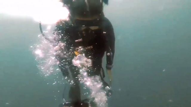 Diving Trip With Indonesia Diver Community at Gili Air Island Lombok смотреть онлайн